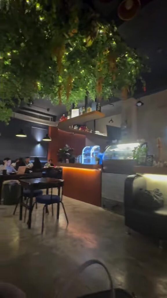 Ambit Cafe & Bar interior with lit greenery overhead