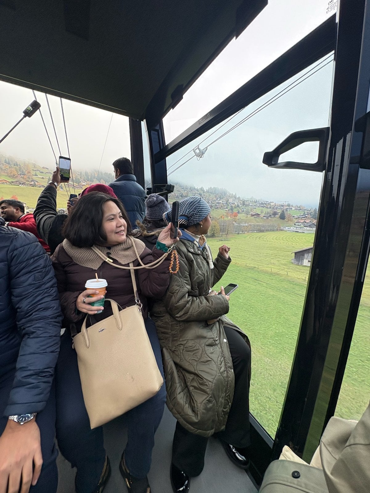 Dimple enjoying the view from the gondola