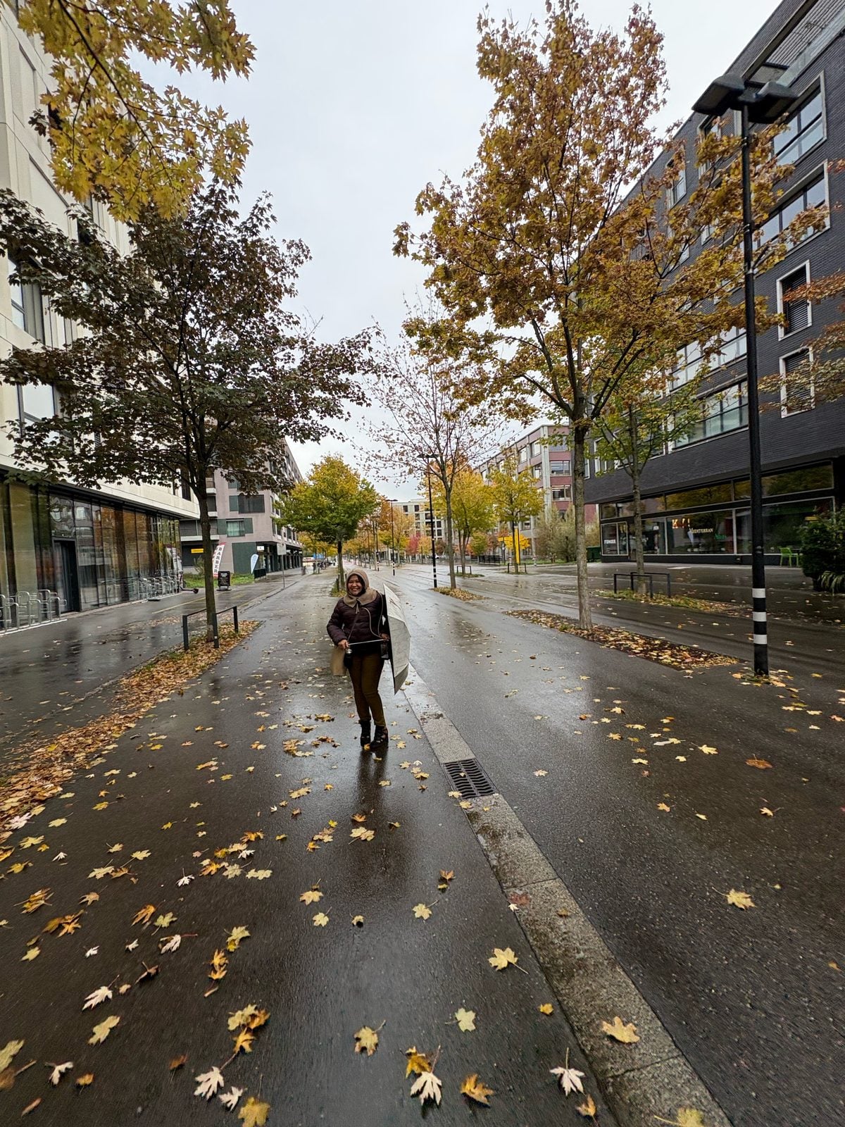 Rosed walking with an umbrella on a wet street covered in autumn leaves in Zurich